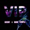 VIP (feat. Dave Temple) - Decay lyrics