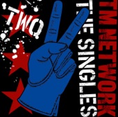 TM NETWORK THE SINGLES 2 artwork