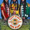 Easy Star's Lonely Hearts Dub Band (Bonus Track Version) album lyrics, reviews, download