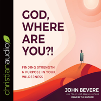 John Bevere - God, Where Are You?!: Finding Strength and Purpose in Your Wilderness artwork