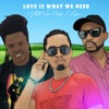 Love Is What We Need (All We Need Is Love) - Single