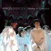 Angel Voices: Libera In Concert album lyrics, reviews, download