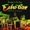 Echo Box (ANFM & Serum Remixes) - Single album lyrics, reviews, download