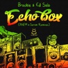 Echo Box (ANFM & Serum Remixes) - Single