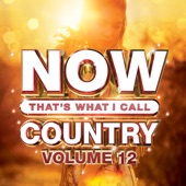 NOW That's What I Call Country, Vol. 12 artwork