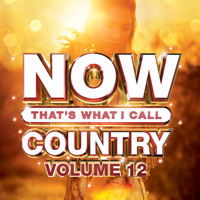 Various Artists - NOW That's What I Call Country, Vol. 12 artwork