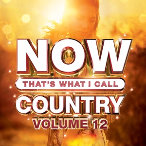 NOW That's What I Call Country, Vol. 12