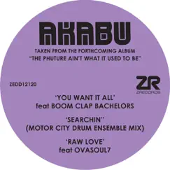 You Want It All (The Original Mix) [feat. Boom Clap Bachelors] Song Lyrics