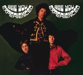 The Jimi Hendrix Experience - Red House