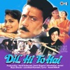 Dil Hi To Hai (Original Motion Picture Soundtrack)