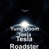 Tesla Roadster - Single