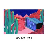 Agar Agar - You're High
