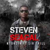 Steven Seagal (feat. Sir Trill) artwork