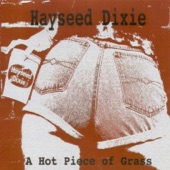 Hayseed Dixie - Rockin' in the Free World