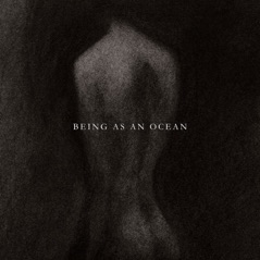 Being as an Ocean