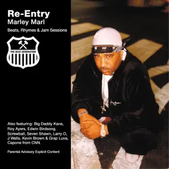 Re-Entry by Marley Marl album reviews, ratings, credits