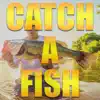 Catch a Fish - Single album lyrics, reviews, download