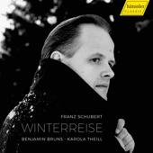 Schubert: Winterreise, Op. 89, D. 911 artwork