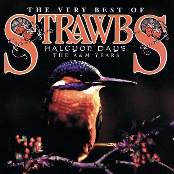 Cover artwork for Out in the Cold