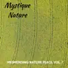 Mystique Nature - Mesmerising Nature Place, Vol. 7 album lyrics, reviews, download