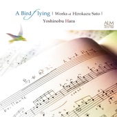A Bird Flying   Works of Hirokazu Sato artwork