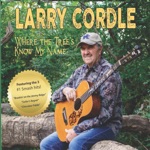 Larry Cordle - You've Walked on My Heart