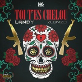 Toi t'es chelou (feat. Alonzo) artwork