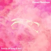 Doom Flamingo - Touch of Grey (Live)