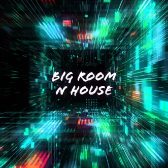 Big Room N House by Various Artists album reviews, ratings, credits