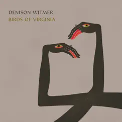 Birds of Virginia (Simplified Mix) - Single by Denison Witmer album reviews, ratings, credits
