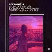 Can't Live Without You artwork