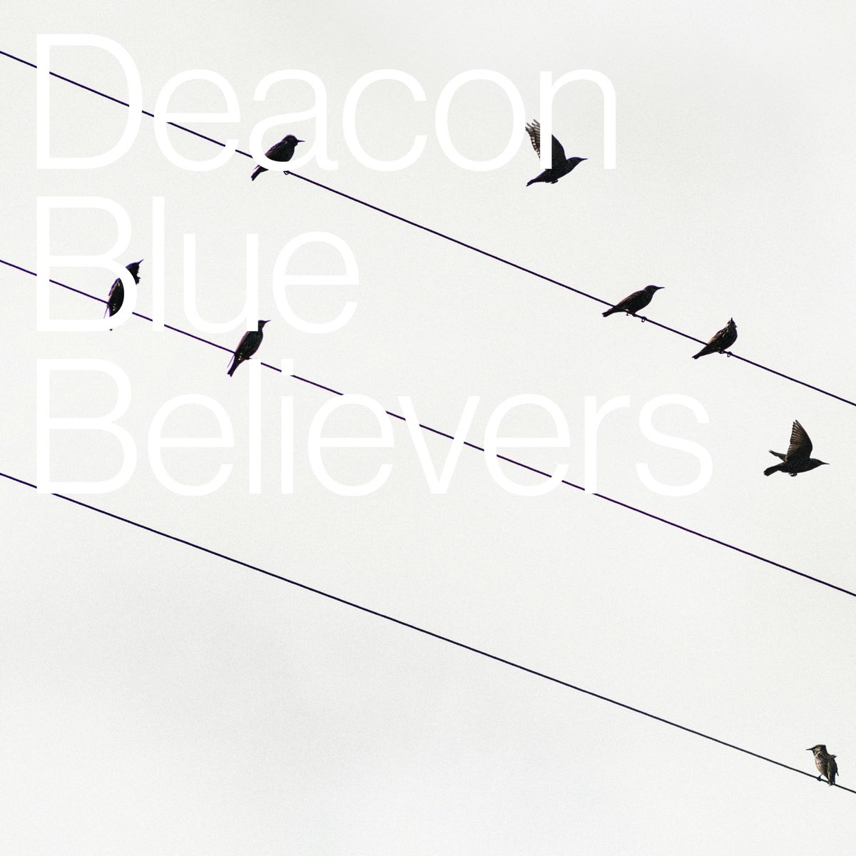 apple-music-deacon-blue-believers