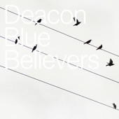 The Believers artwork