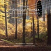 Manuel Barrueco - Cavatina (feat. Steve Morse)