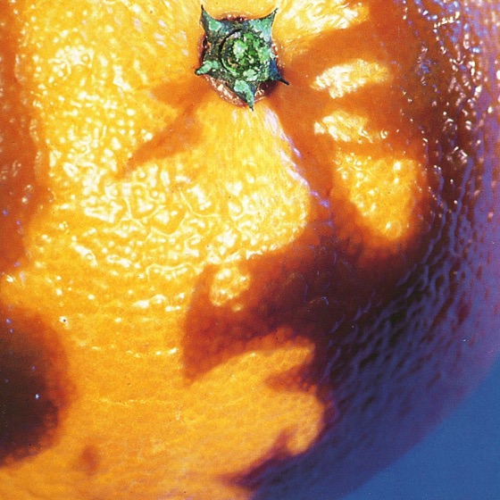 Cover artwork for The Mango Song
