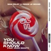 Sam Feldt - You Should Know (feat. Craig Smart)