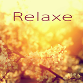 Relaxe - Relaxar a Mente con Música New Age, Músicas Instrumentais para Meditação, Pensamento Positivo, Bem Estar e Serenidade - Relaxamento