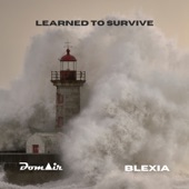 Learned To Survive (feat. Blexia) artwork