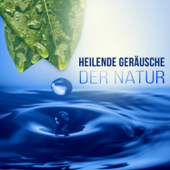 Heilende Geräusche der Natur - Tiefenentspannung Atmosphäre für Wellness & Regeneration, Ruhige Musik für Massage, Entspannungsmusik & Meditation - Zen Buddhismus Regeneration Sammlung