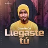 Llegaste Tú - Single