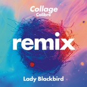 Collage (Calibre Remix) artwork