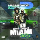 Miami 305 (feat. 1Monzta_HD) artwork