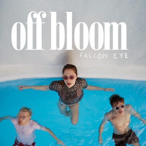 Art for Falcon Eye by Off Bloom