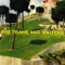 Tony Cochrane - The Frank & Walters lyrics