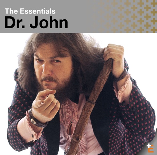 Art for Right Place, Wrong Time by Dr. John