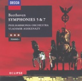 Symphony No. 5 in C Minor, Op. 67: II. Andante con moto artwork