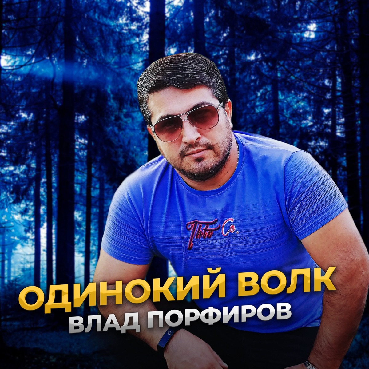 Влад Порфиров – Одинокий волк: слушать и скачать mp3 песню