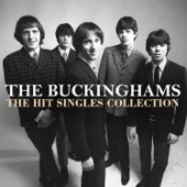 The Buckinghams - Don't You Care