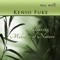 Portals Of The Universe - Kenio Fuke lyrics