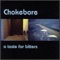It Could Ruin Your Day - Chokebore lyrics